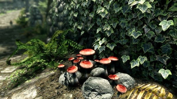 Skyrim